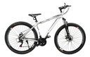 Bicicleta Mountain Bike Lamborghini 217138 R29 Tamaño Del Cuadro M Color Gris