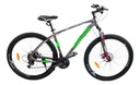 Bicicleta Mountain Bike Lamborghini 217138 R29 Tamaño Del Cuadro M Color Gris