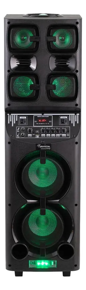 Parlante Portatil Torre Con Microfono Temuki Usb Led 7200w N Negro