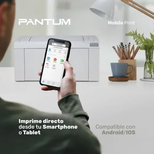 Impresora Simple Función Monocromática Pantum Hero P2509w Con Wifi