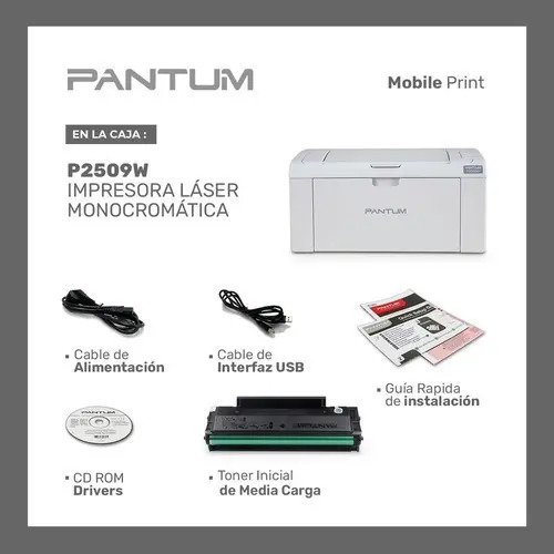 Impresora Simple Función Monocromática Pantum Hero P2509w Con Wifi